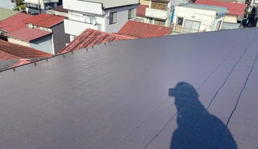 屋根がボロボロなので塗装してほしい【山形県米沢市 N様邸】 (1)