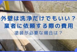 外壁の汚れは洗浄だけでもいい？