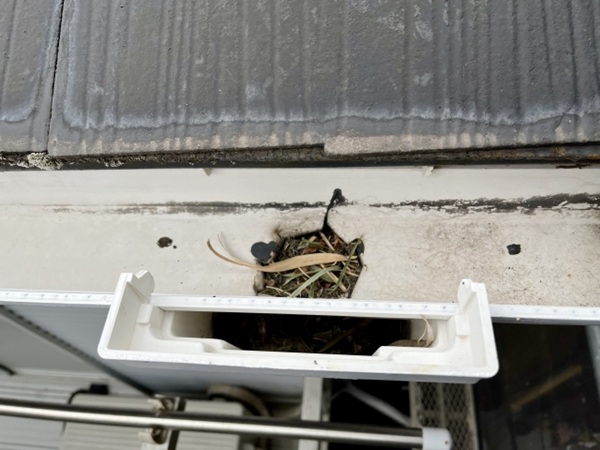 定期的なメンテナンスが必要な理由_片流れ屋根