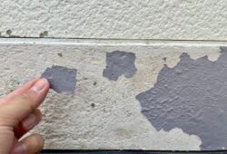 塗膜の剥がれ (1)