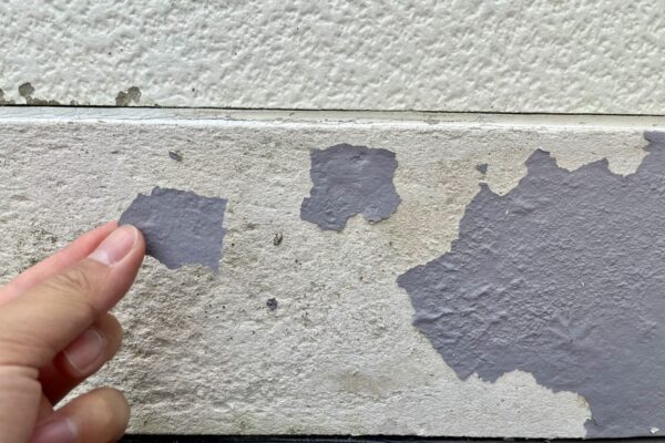 塗膜の剥がれ (1)