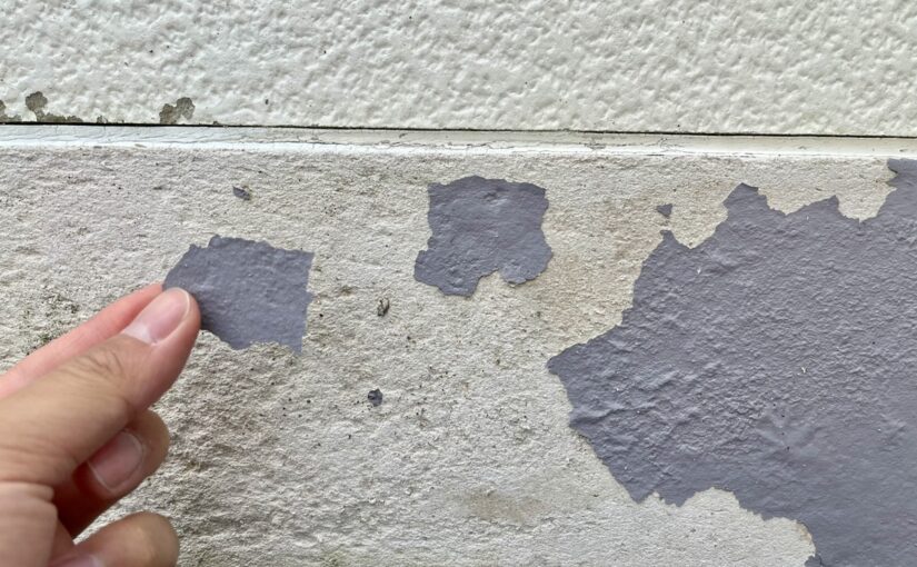 塗膜の剥がれ (1)